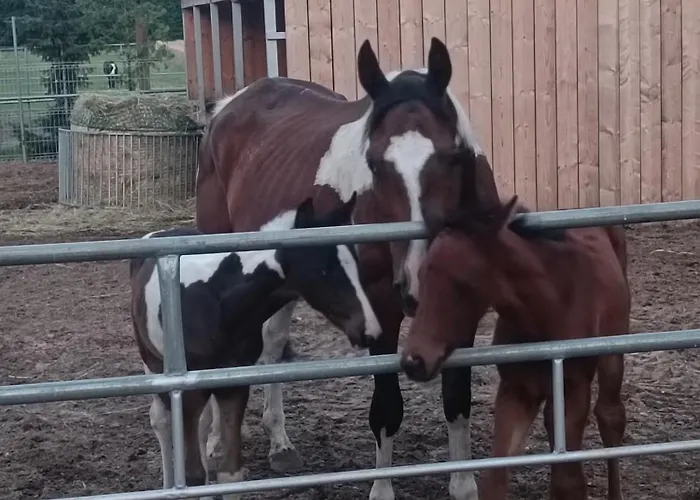 Casa vacanze Konskie Zacisze Parter